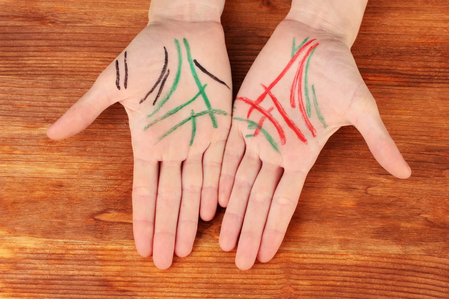 Illustration d'une main avec des lignes marquées
