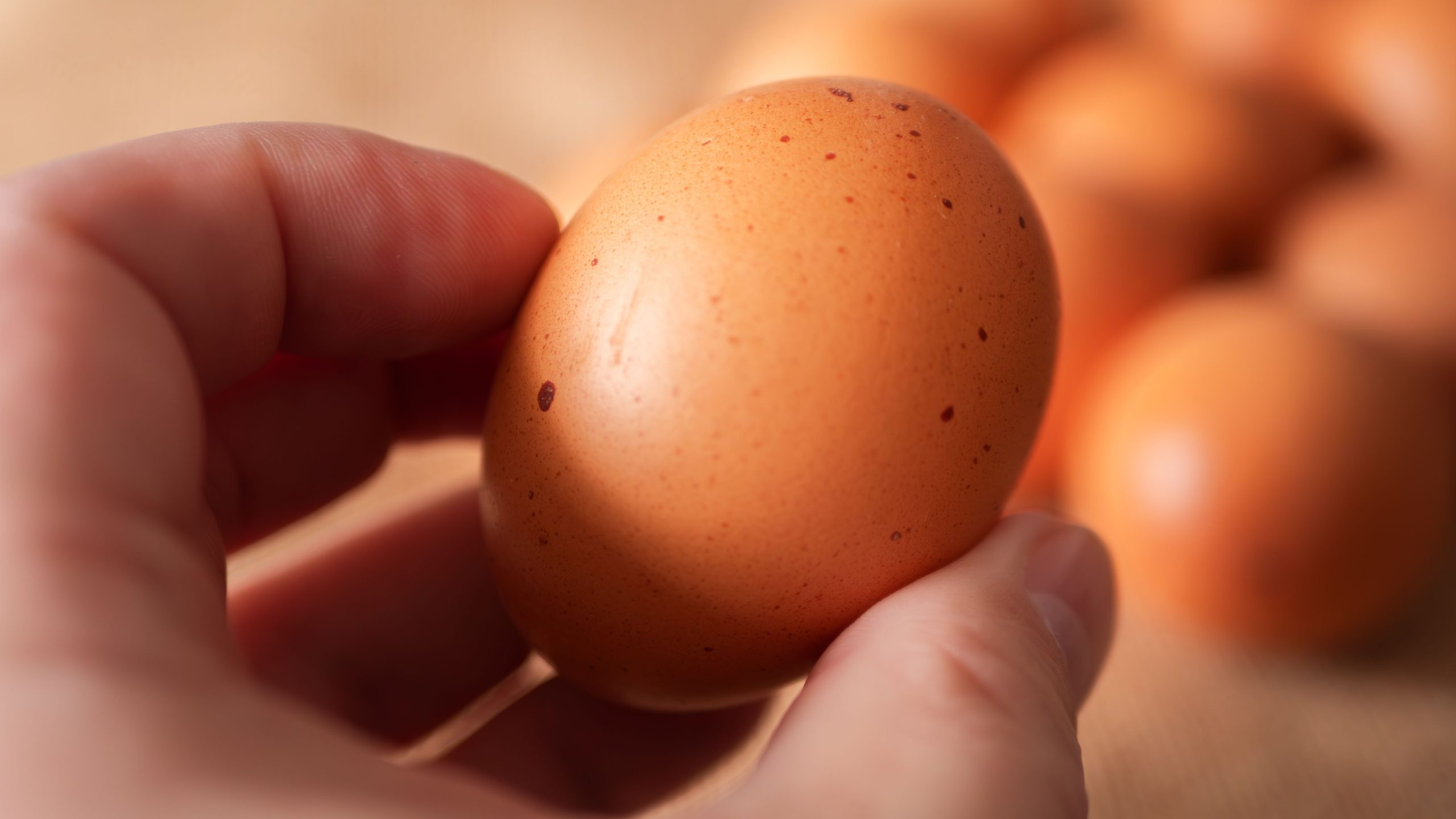 Main retirant une tache rouge d’un jaune d’œuf avec une cuillère