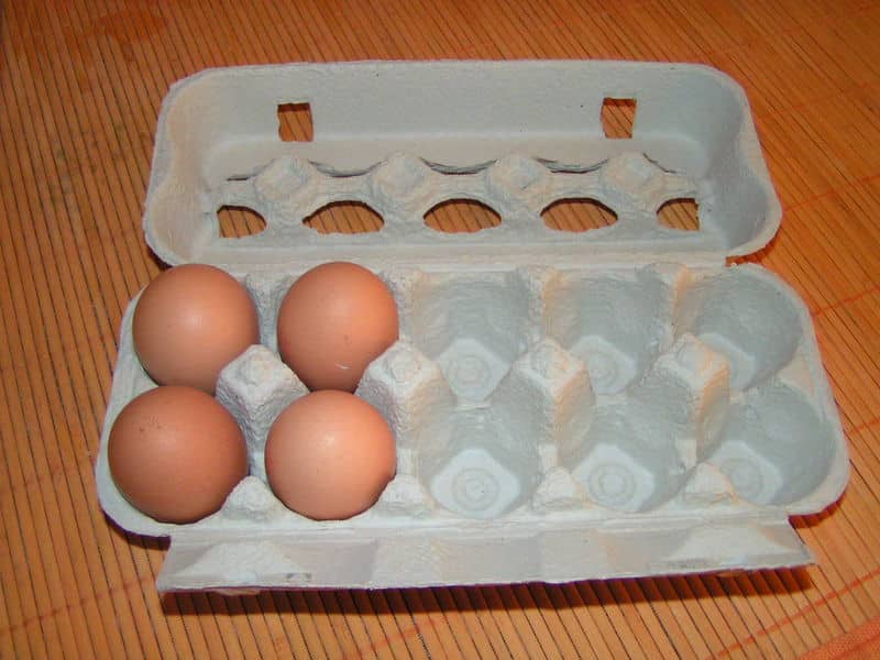 Œufs dans une boîte