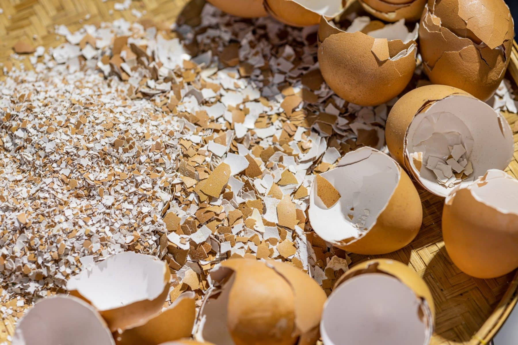Coquilles d'œufs comme absorbeur d'odeurs