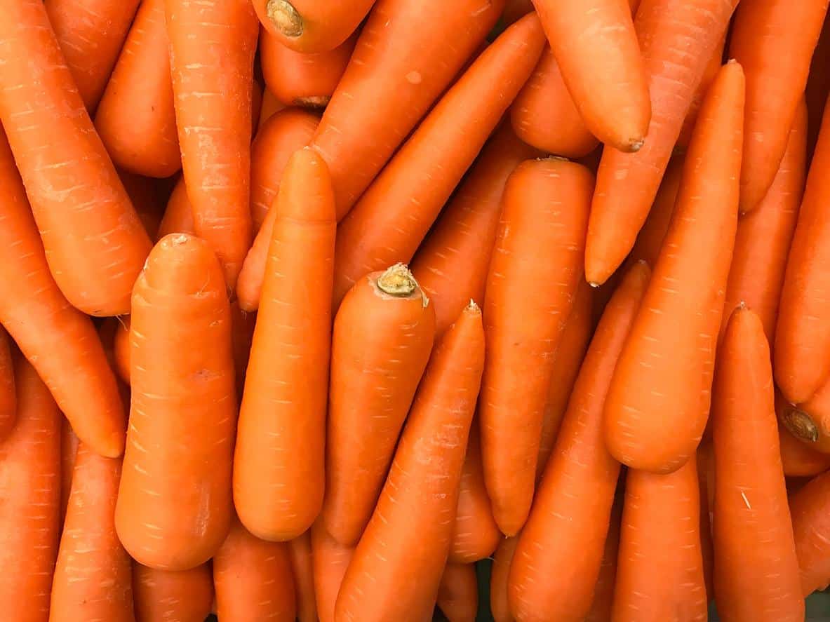 Carottes bio fraîches