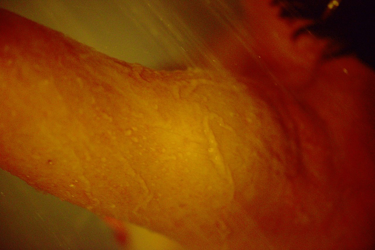 Détail d'une épaule sous l'eau de la douche, symbole de douceur et de soin.