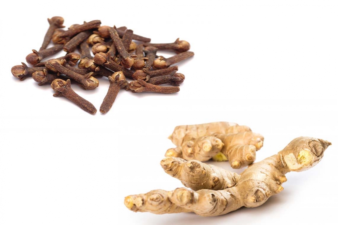 Tisane au gingembre et clous de girofle