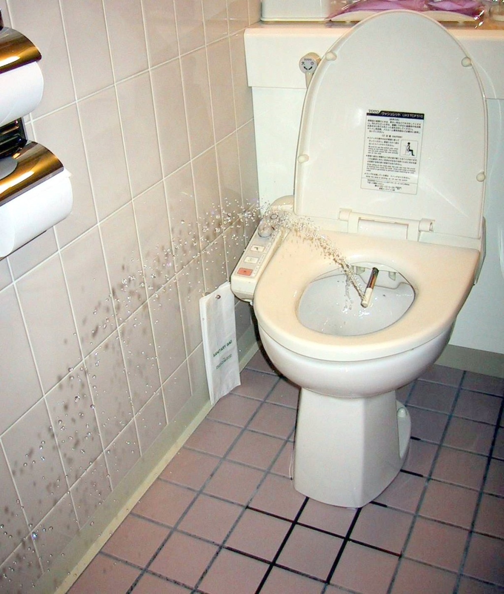 Comparaison entre toilettes japonaises modernes et traditionnelles