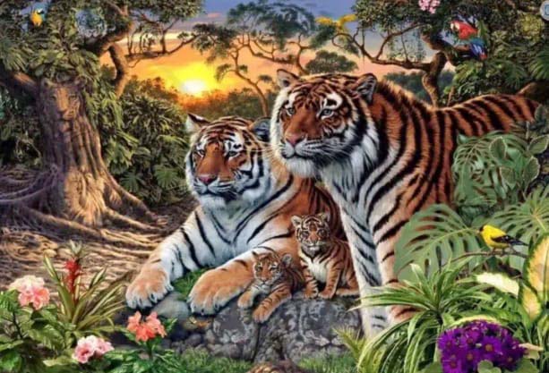 Image de tigres cachés dans la jungle