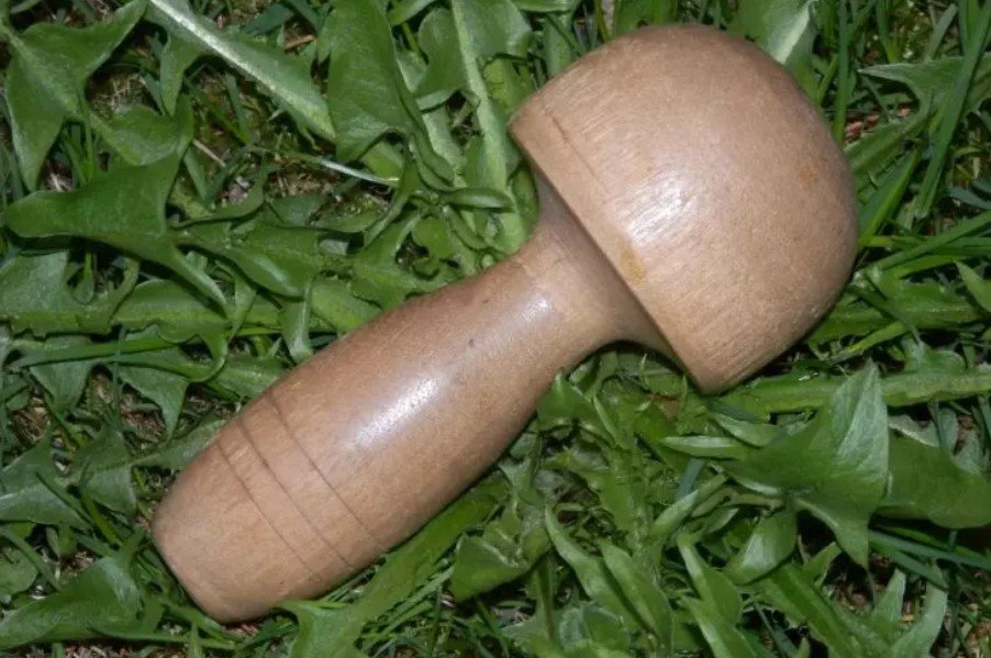 Champignon à repriser usé