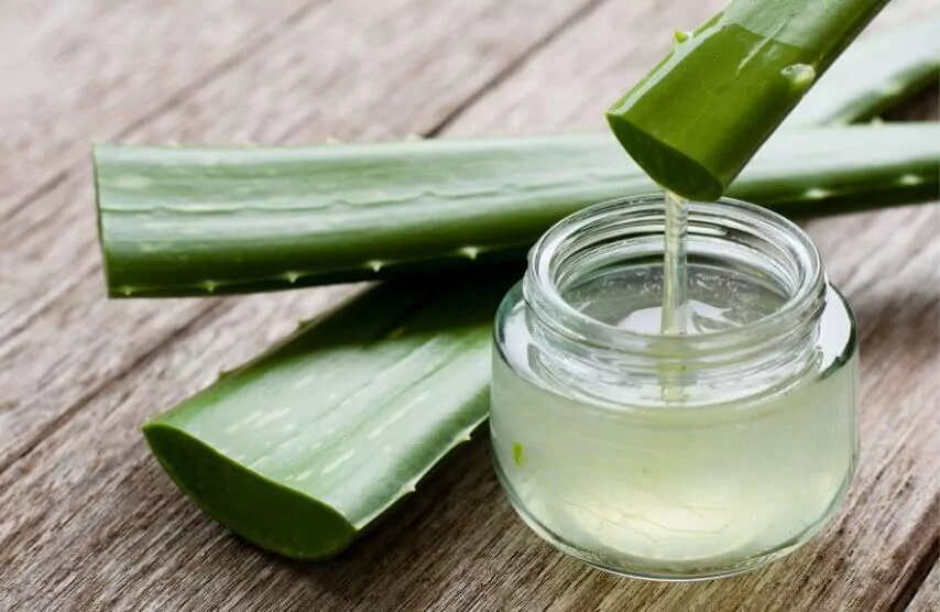 Aloe Vera appliqué sur des cheveux