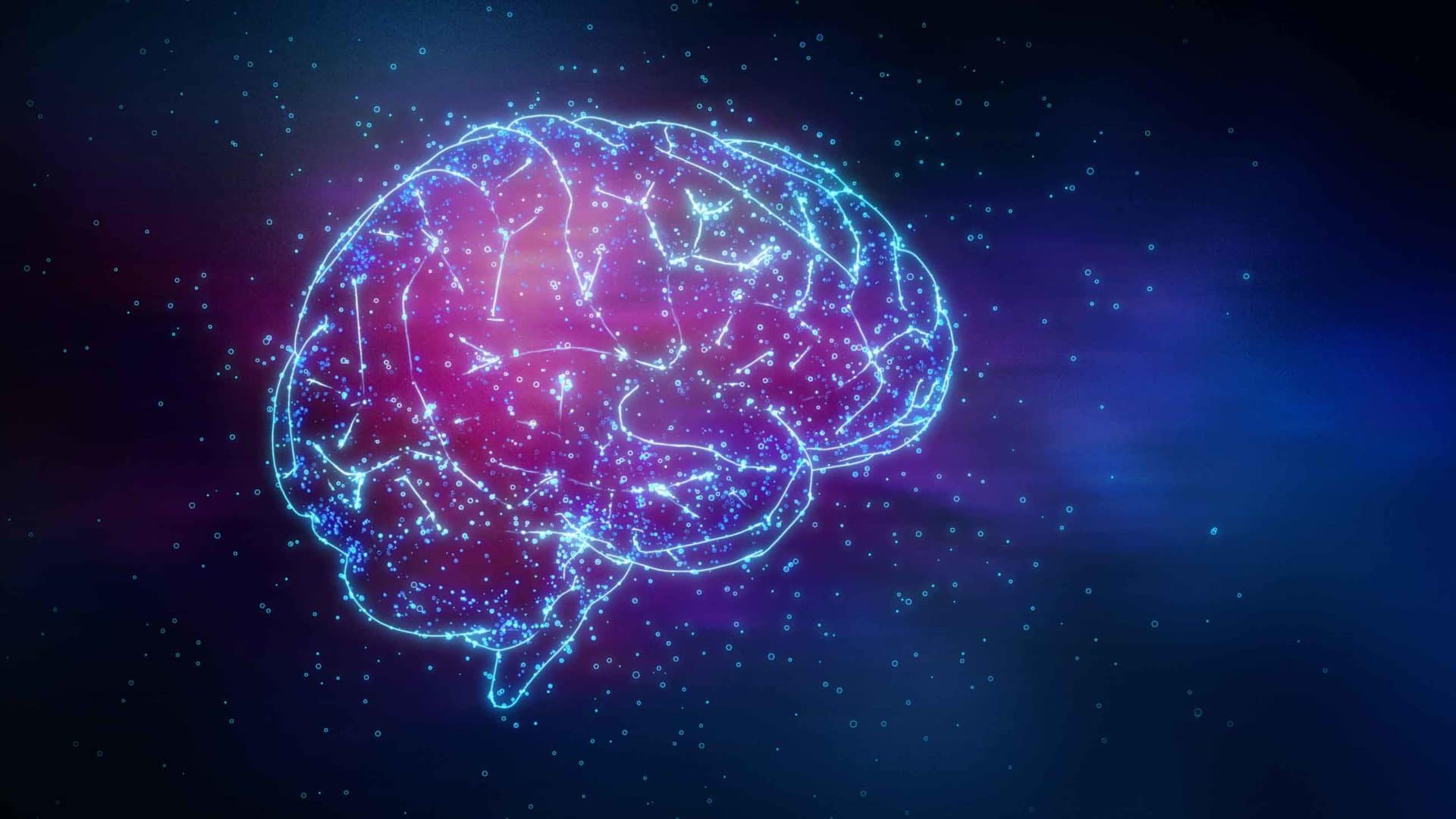 Illustration stylisée d'un cerveau, symbolisant la réflexion et l'apprentissage.