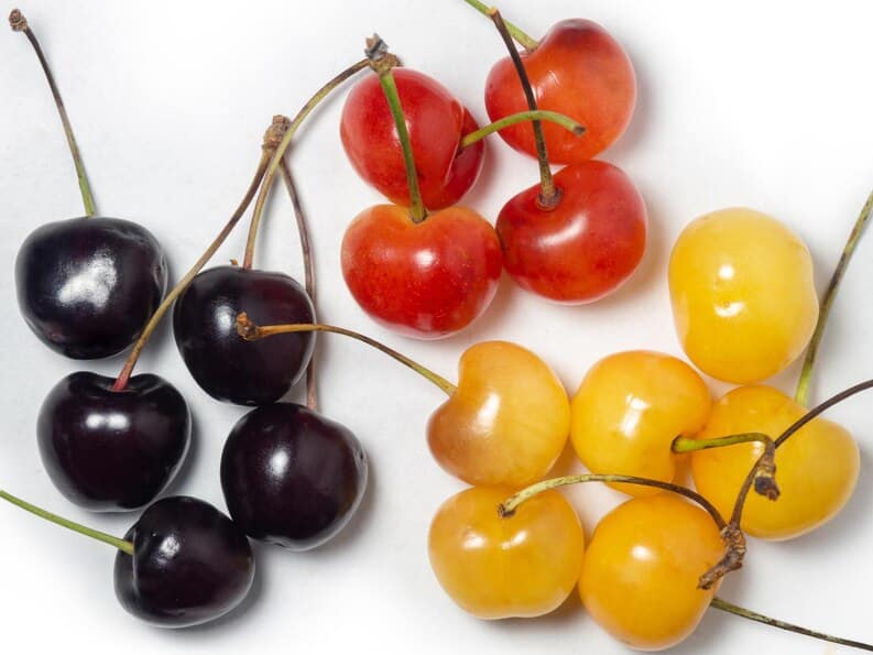 Différentes variétés de cerises