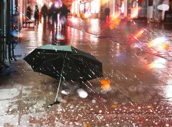 Rue pavée sous la pluie le soir