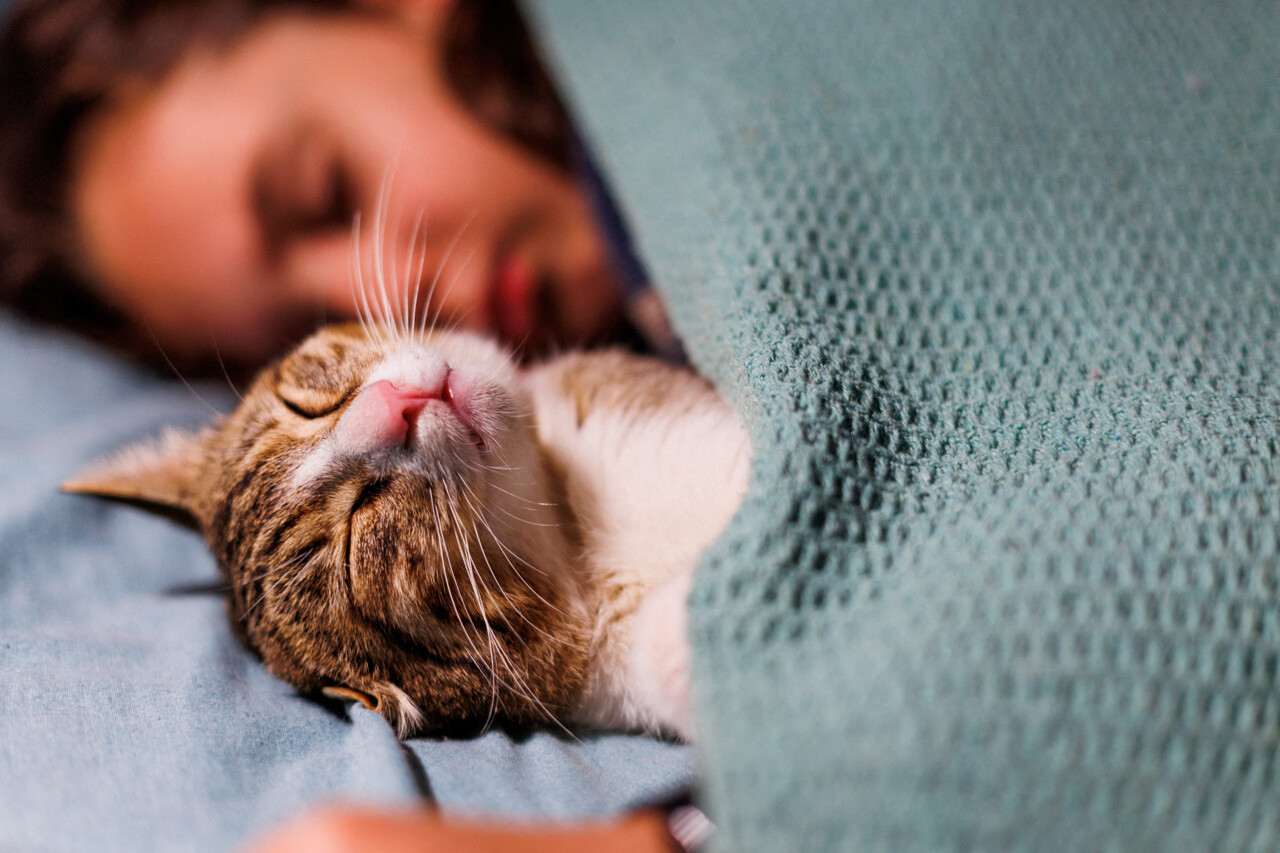 Enfant dormant avec un chat