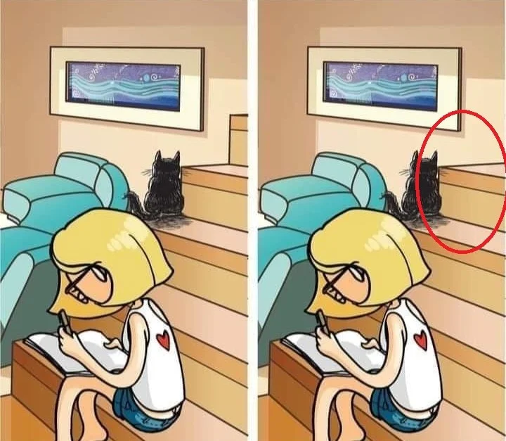Solution du défi visuel