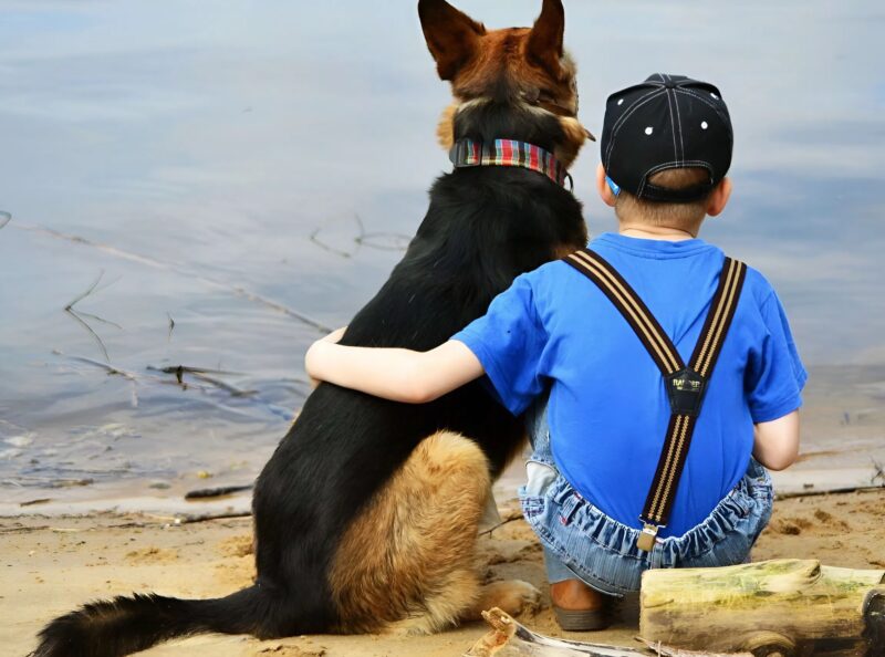 Enfant et son chien dans un environnement hospitalier