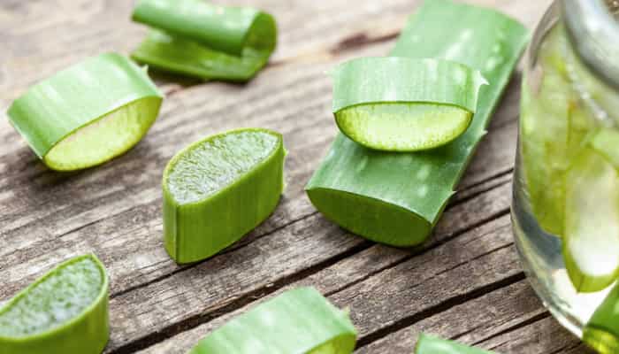 Gel d'Aloe Vera