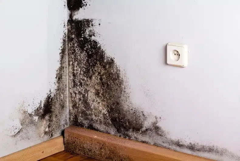 Taches noires sur un mur