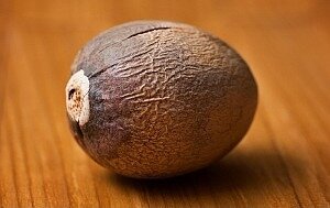 Gros plan sur un noyau d'avocat brun et lisse