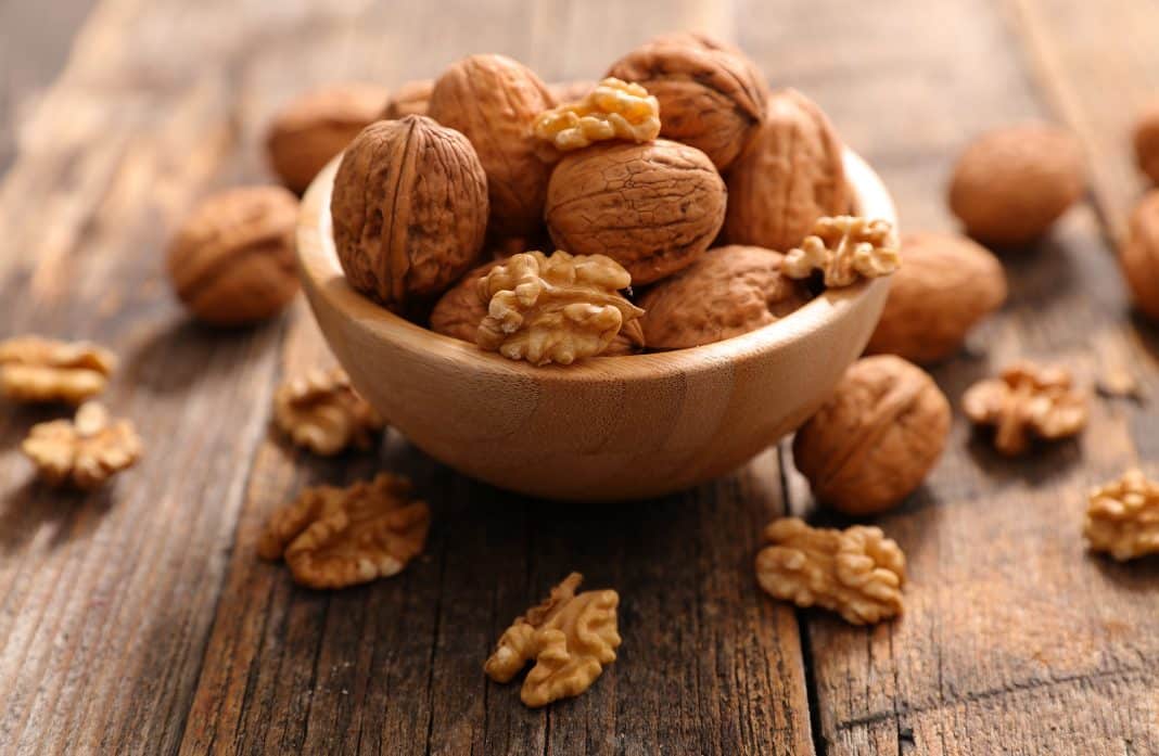 Des cerneaux de noix fraîchement sortis de leur coquille