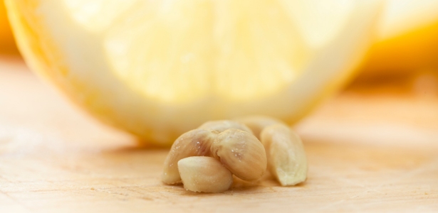 Pépins de citron pour un soin capillaire naturel