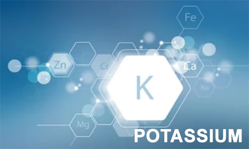 Aliments riches en potassium