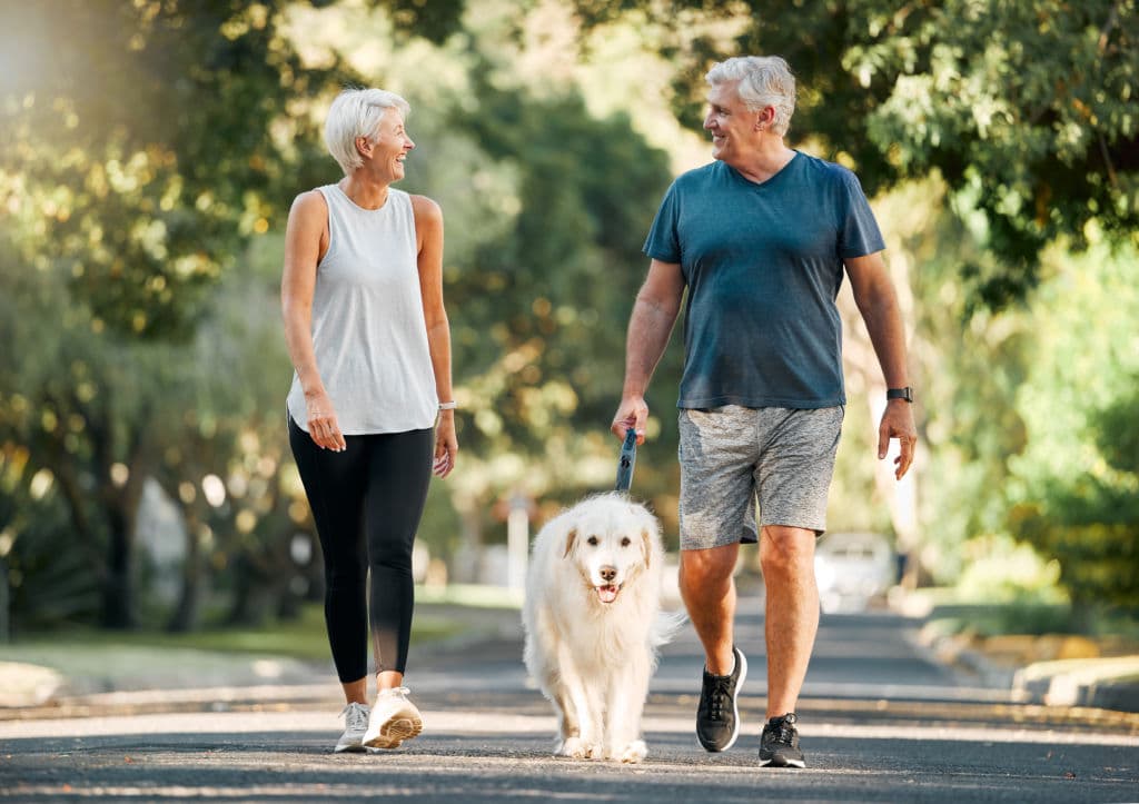 Couple âgé se promenant avec leur chien