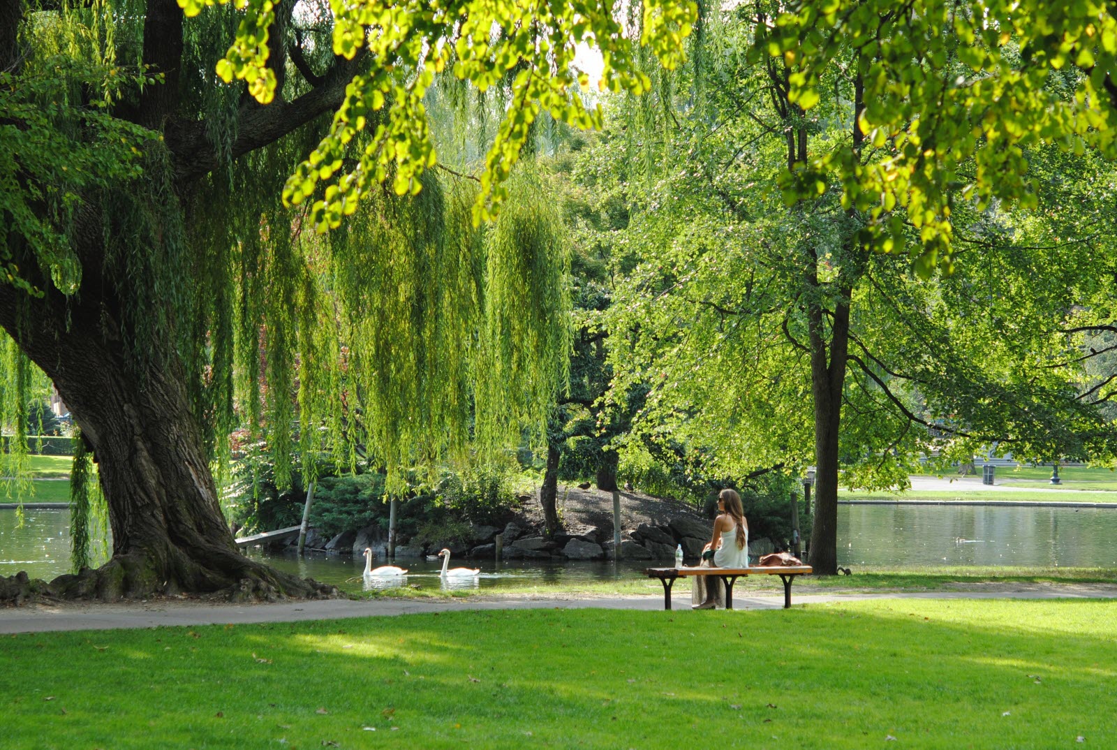 Enfant jouant dans un parc