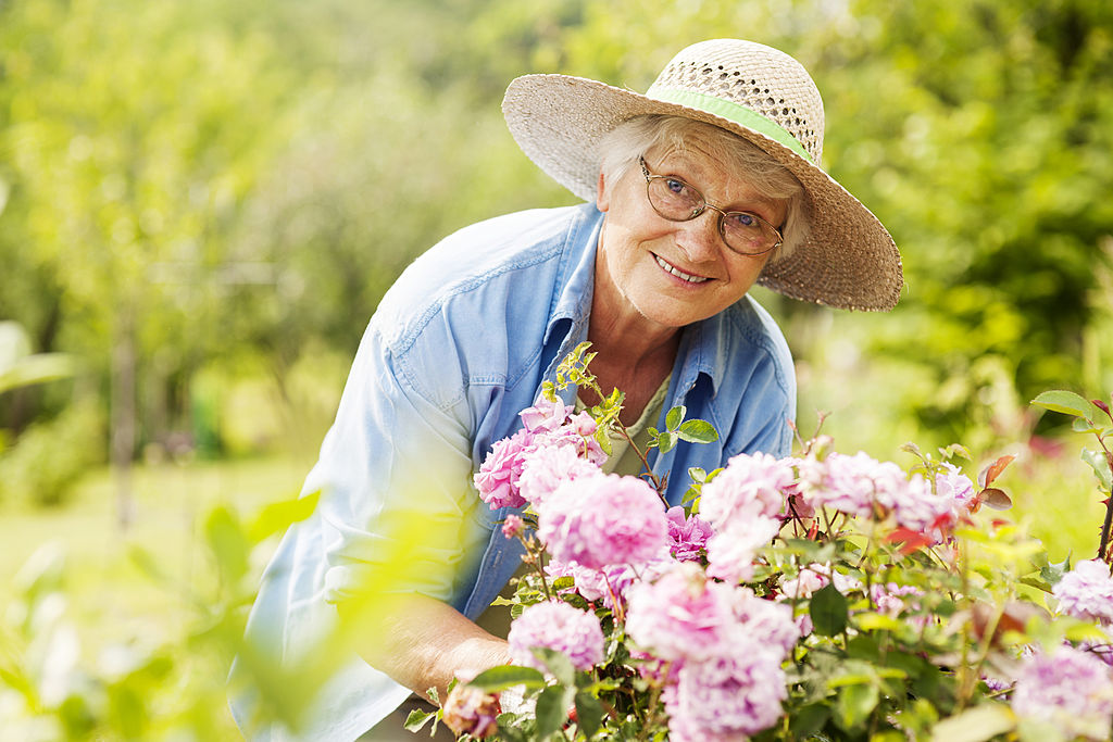 Dame âgée jardinant et souriante au milieu des fleurs