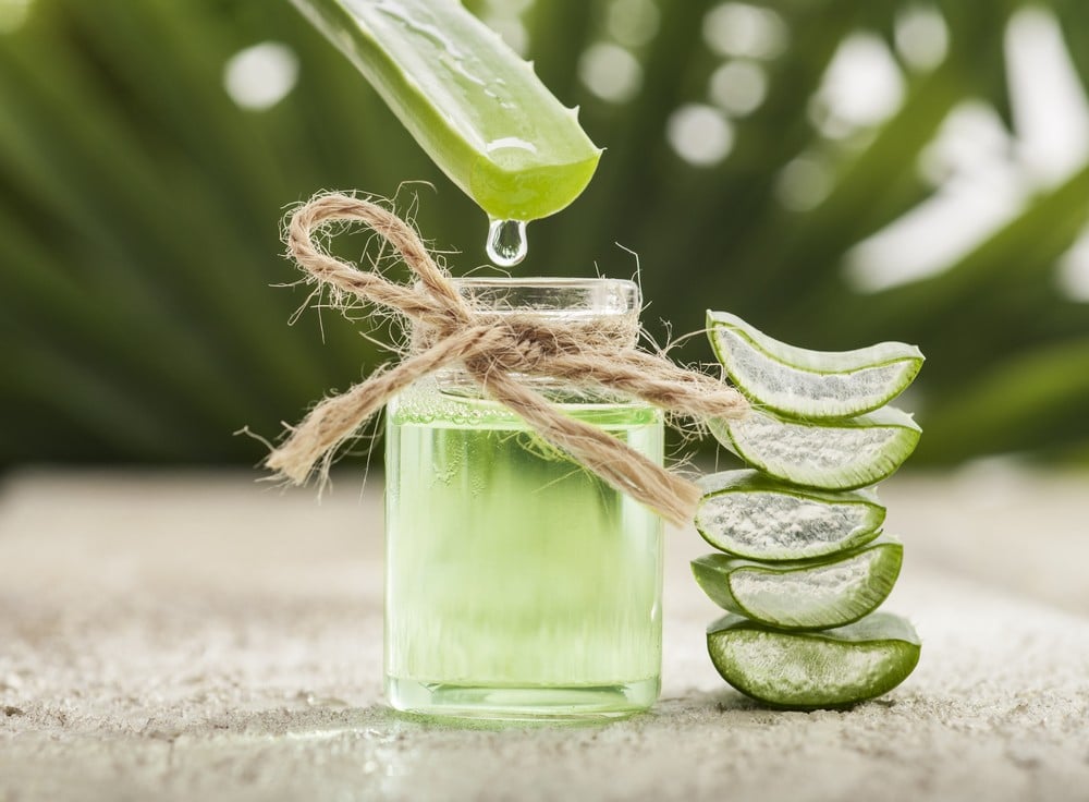 Feuille d'aloe vera ouverte