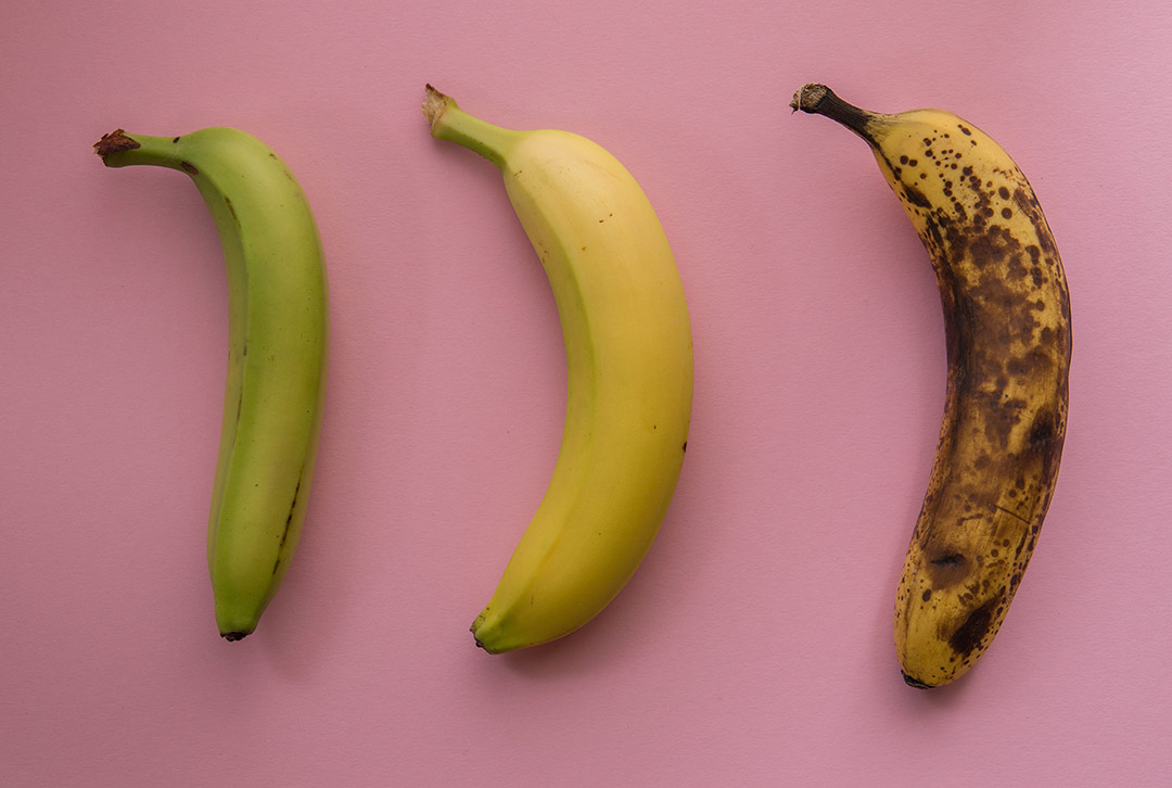 Trois bananes de couleurs différentes : verte, jaune et tachetée