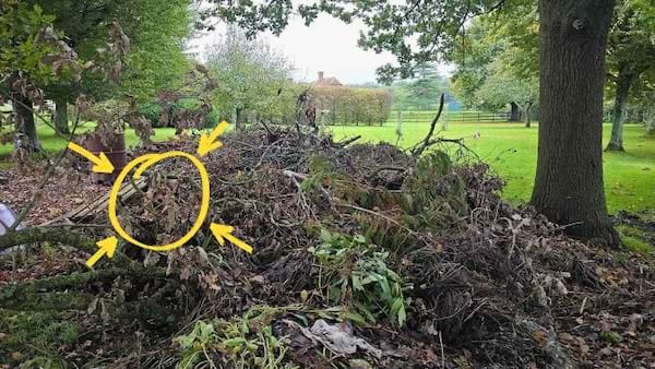 Image révélant la solution avec le chien entouré