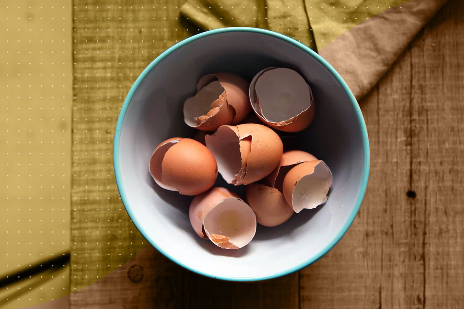 Coquilles d'œufs comme engrais naturel
